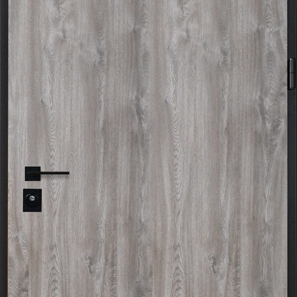 USA METALICA CASA - PARTY